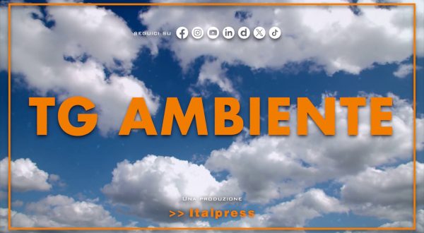 Tg Ambiente – 9/11/2025