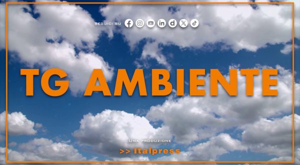 Tg Ambiente – 16/11/2025
