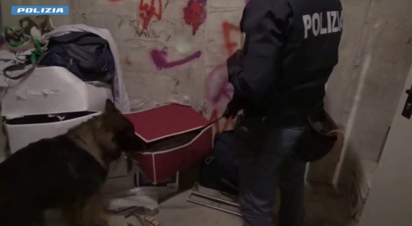 Sgominata una banda a Trento, 23 misure cautelari per furti e spaccio di droga