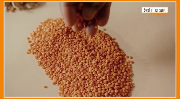Sorsi di Benessere – Una ricetta gustosa a base di lenticchie e castagne
