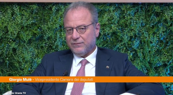 Malattie renali croniche, Mulè “Serve emendamento per finanziare screening”