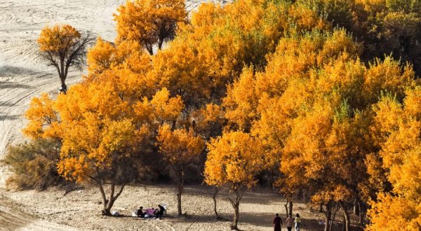 Cina, nello Xinjiang produzione di petrolio greggio supera 1,7 mln di tonnellate