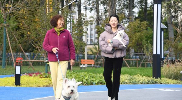 Cina, Shandong spinge sull’innovazione per far crescere l’economia pet