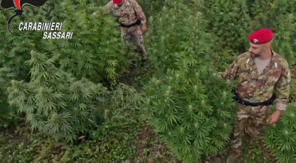 Blitz antidroga in Sardegna, 21 misure cautelari