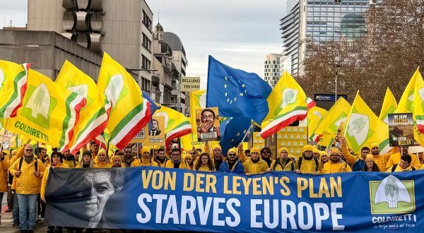 Ue, Masiello “Agricoltura e tabacchicoltura unite contro politiche squilibrate”