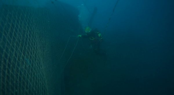Dal mare all’energia, Green Plasma trasforma le reti fantasma in risorsa