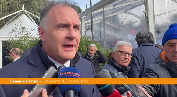 Dl Energia, Orsini “Fare presto, senza competitività perdiamo pezzi industria”