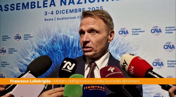 Lollobrigida “Governo al fianco delle imprese con politiche di rilancio”