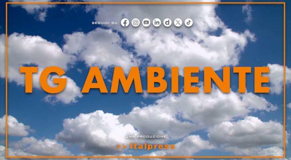 Tg Ambiente – 7/12/2025