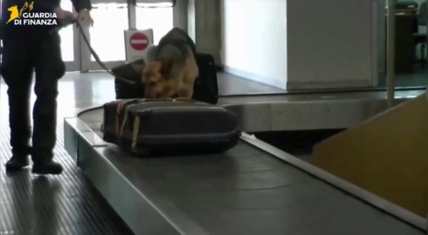 Finanziamenti ad Hamas per 7 mln attraverso associazioni, nove arresti