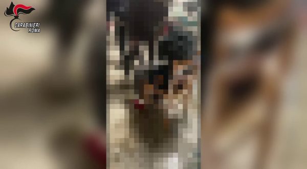 Roma, torture e sequestri per debiti di droga, 11 misure cautelari