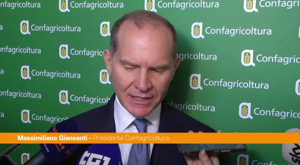 Manovra, Giansanti “Bisogna trovare le risorse per rilanciare l’innovazione”