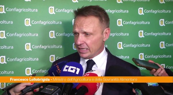 Ue, Lollobrigida “Gli agricoltori rivendicano diritto a essere protagonisti”