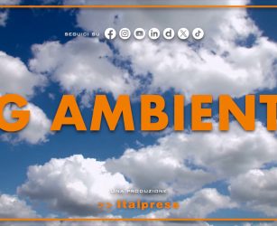Tg Ambiente - 14/12/2025