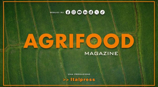 Agrifood Magazine – 24/12/2025