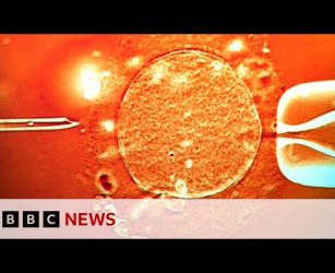 Sperm from donor with cancer-causing gene was used to conceive almost 200 children | BBC News