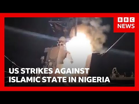 US launches strikes against Islamic State in Nigeria | BBC News