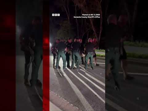 The animal was taken to a Florida alligator farm, where it was released.#Alligator #BBCNews