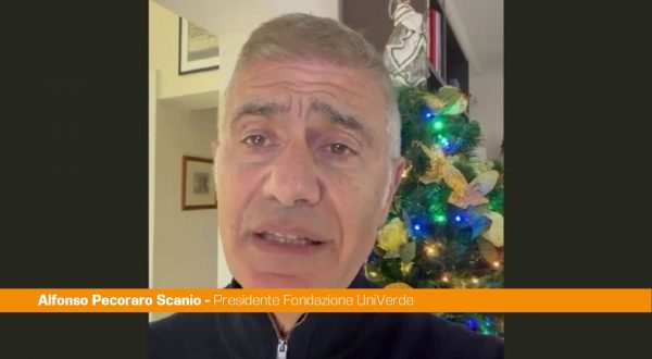 Ponte sullo Stretto, Pecoraro Scanio “Progetto fallito, Governo dica la verità”