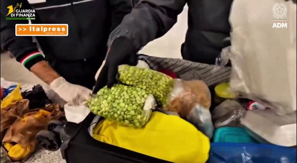 All’aeroporto di Linate sequestrate 6,5 tonnellate di alimenti non sicuri