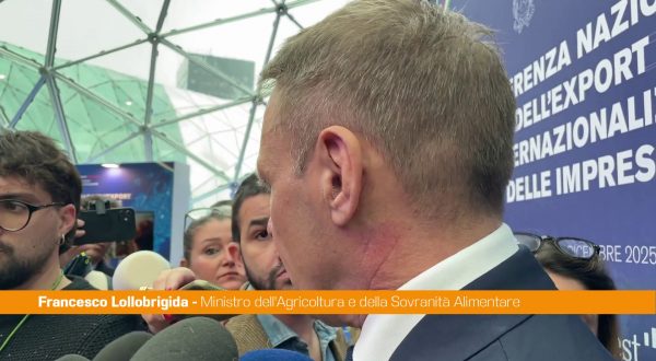 Cucina italiana, Lollobrigida “Con riconoscimento Unesco dati positivi”