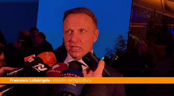 Ue, Lollobrigida “Padri fondatori lavorarono per sostegno agricoltori”