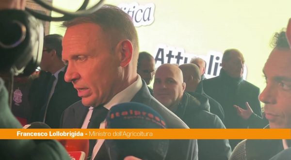 Lollobrigida “Sostenere l’agricoltura è una scelta strategica”
