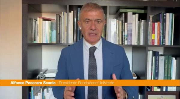 Ponte sullo Stretto, Pecoraro Scanio “Basta sprechi, Governo ritiri il progetto”