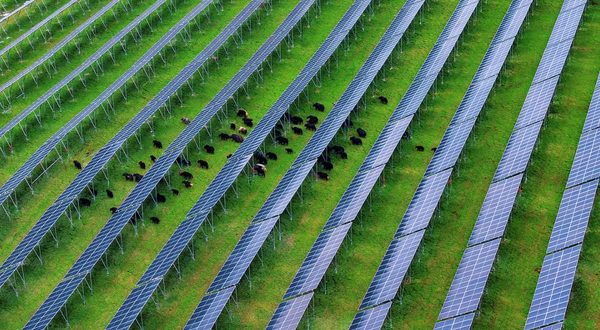 Cina, nel Sichuan attivato importante progetto fotovoltaico ad alta quota