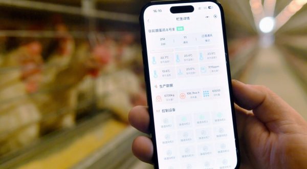 La Cina crea un sistema di registrazione per i diritti di proprietà dei dati