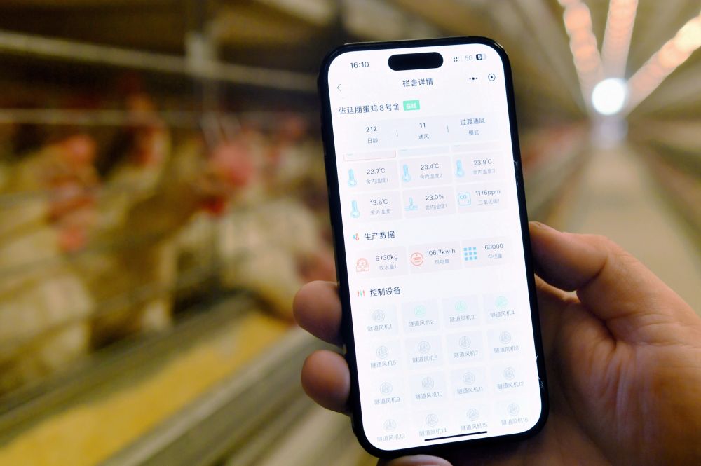 La Cina crea un sistema di registrazione per i diritti di propriet&agrave; dei dati