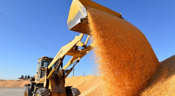 Cina, boom nella produzione di cereali nel 2025