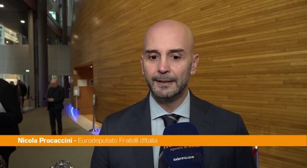 Procaccini “Dividere l’Unione Europea dagli Stati Uniti è un errore”