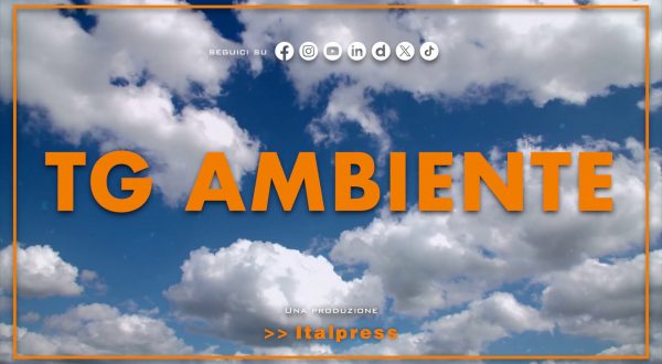 Tg Ambiente – 18/1/2026
