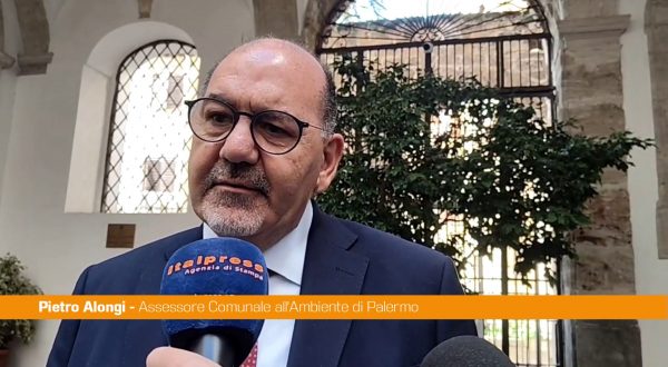 Palermo, Alongi “Interverremo sulle potature per circa 10 mila alberi nel 2026”