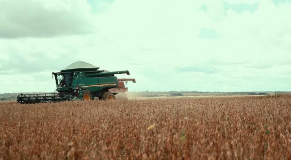 L’agroalimentare italiano vale il 15% dell’economia