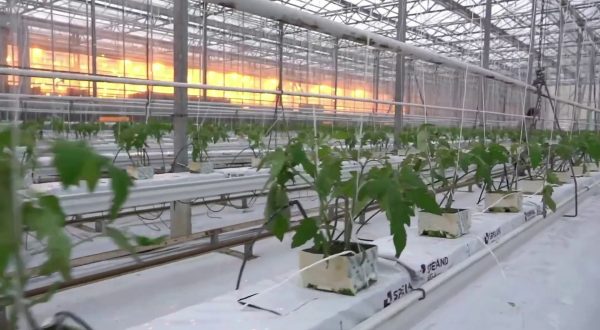 Sviluppo rurale, l’Italia ha speso il 99% dei fondi Ue