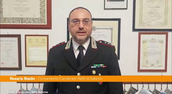 Macellazione clandestina in centro a Salerno, sequestrati 6 quintali di carni