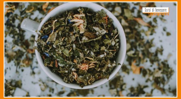 Sorsi di Benessere – Una tisana con betulla e tarassaco