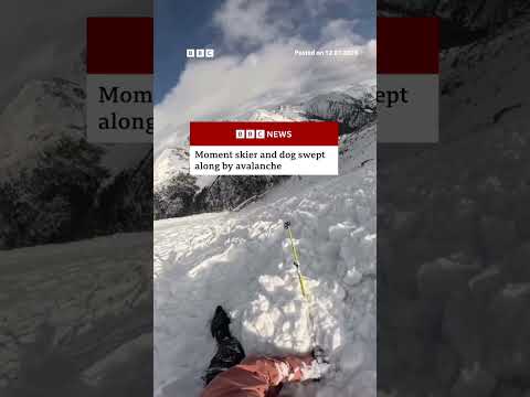 Skier and dog swept along by avalanche in Andorra. #Andorra #Skiing #BBCNews