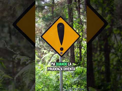 Le banche italiane non sono mai state così sane, ma perché il credito non arriva?