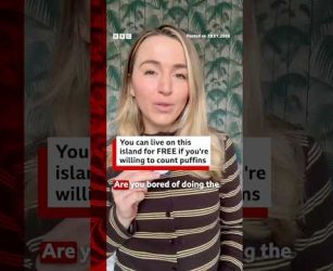 Fancy living on an island for free? You can - if you're happy to count puffins. #Puffins #BBCNews