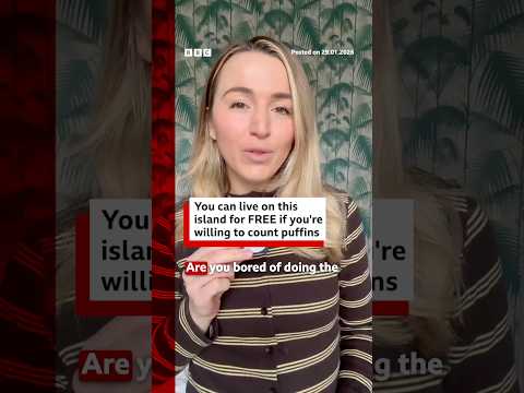 Fancy living on an island for free? You can - if you're happy to count puffins. #Puffins #BBCNews