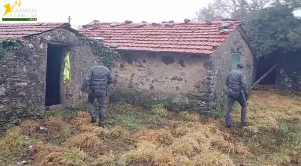 Truffa bonus edilizi, Gdf Lucca sequestra 10 milioni di euro
