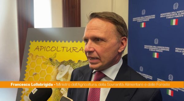 Maltempo, Lollobrigida “Governo attento e rapido nell’intervento”