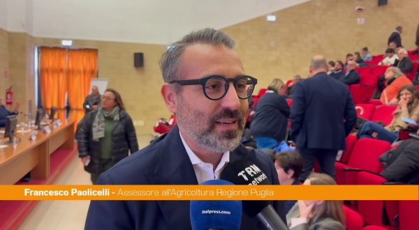 Puglia, Paolicelli “Quella del veterinario è una figura importantissima”