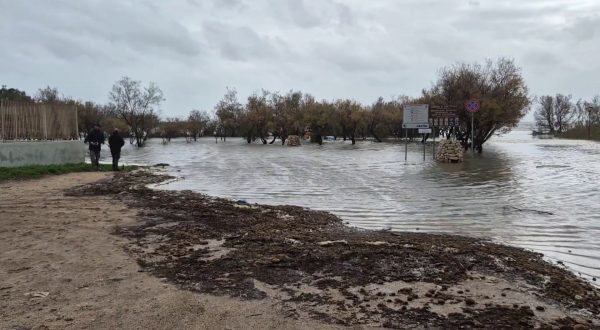 Maltempo in Sardegna, le immagini in provincia di Cagliari