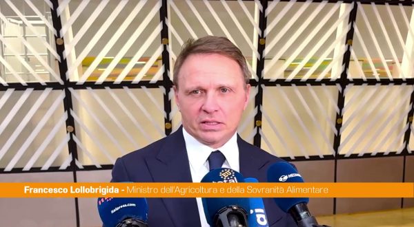 Mercosur, Lollobrigida “In Ue solo prodotti che rispettino i nostri standard”