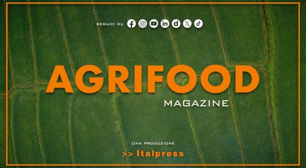 Agrifood Magazine – 21/1/2026