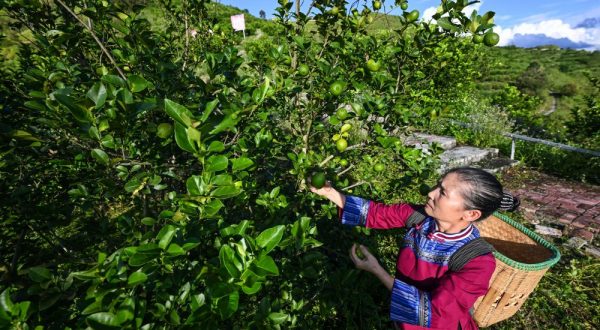 In Cina si riduce il divario di reddito fra aree urbane e rurali